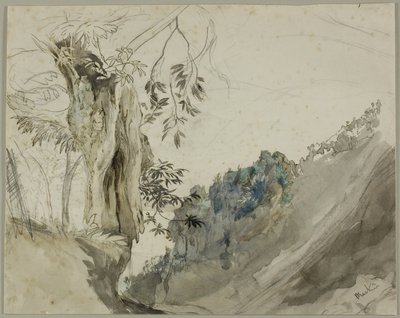 Kasztan hiszpański autorstwa John Ruskin