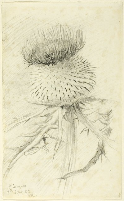 św. Cergues autorstwa John Ruskin