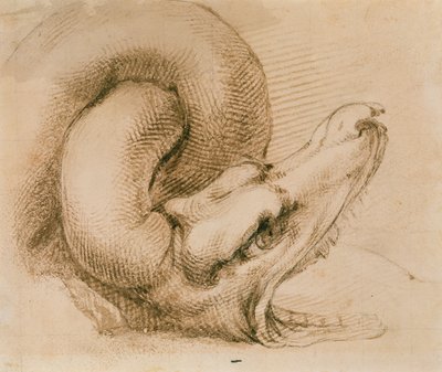 Studium głowy smoka według Michała Anioła (atrament na papierze) autorstwa John Ruskin