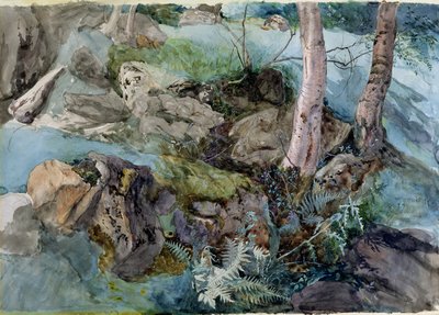Badanie skał i paproci w lesie w Crossmount, Perthshire, 1843 (wc na papierze) autorstwa John Ruskin