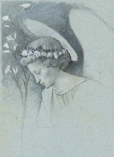 Studium Głowy Anioła Gabriela w „Aniołku zapowiadającym” Filippo Lippiego, 28 czerwca 1870 (grafit, akwarela i kolor ciała na niebieskim papierze tkanym) autorstwa John Ruskin