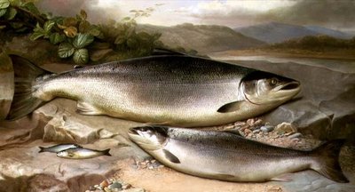 Ryba martwa natura autorstwa John Russell