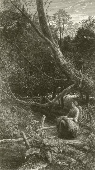 Zmierzch w lesie autorstwa John Samuel Raven