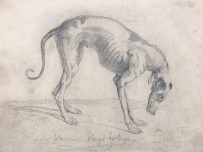 Zagłodzony chart autorstwa John Sell Cotman
