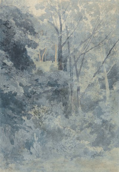 W Rokeby Park autorstwa John Sell Cotman