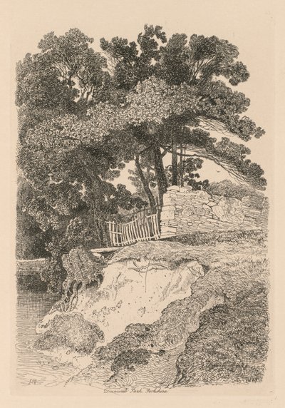 Liber Studiorum: Tablica 13, Duncomb Park, Yorkshire: No. 5, 1838. autorstwa John Sell Cotman