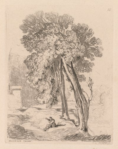 Liber Studiorum: Płyta 18, Drzewa w Norwich Thorp, Norfolk autorstwa John Sell Cotman