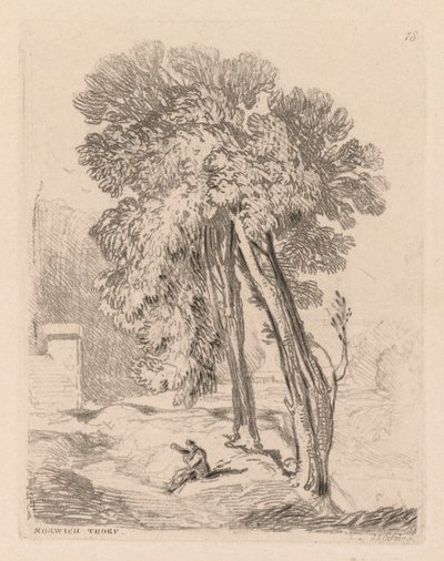 Liber Studiorum: Tablica 18, Drzewa w Norwich Thorp, Norfolk, 1838. autorstwa John Sell Cotman