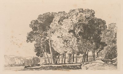 Liber Studiorum: Tablica 3, Drzewa w pobliżu Twickenham autorstwa John Sell Cotman