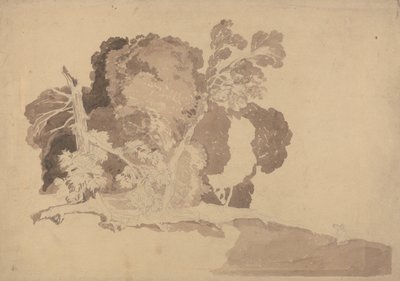 Badanie drzew autorstwa John Sell Cotman