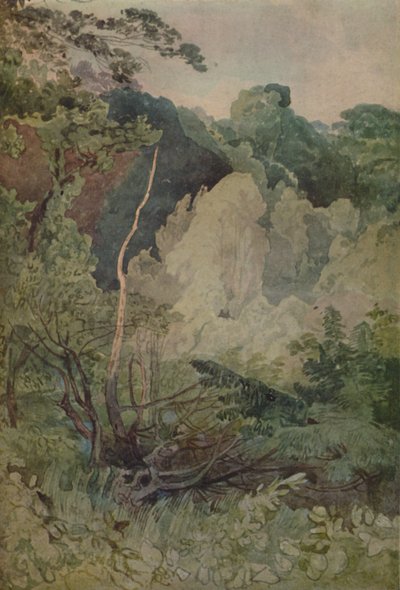 Drzewa w pobliżu rzeki Greta, 1923 autorstwa John Sell Cotman