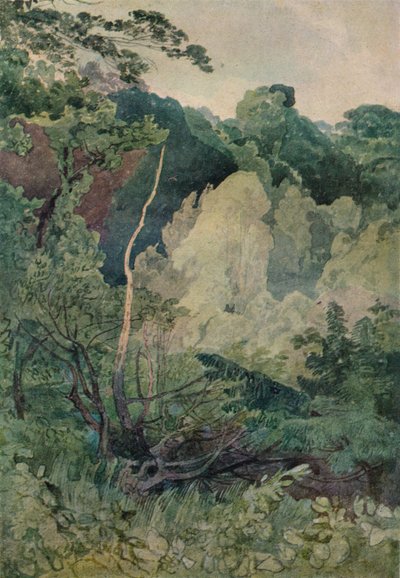 Drzewa nad rzeką Greta, ok. XIX w. autorstwa John Sell Cotman