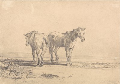 Dwa stare konie stojące na polu autorstwa John Sell Cotman