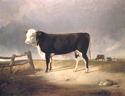 Kanclerz autorstwa John Sheriff