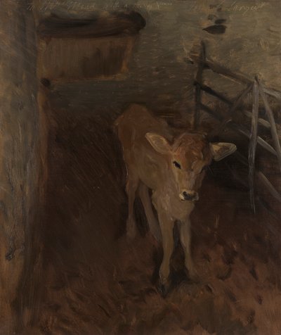 Cielę z dżerseju autorstwa John Singer Sargent