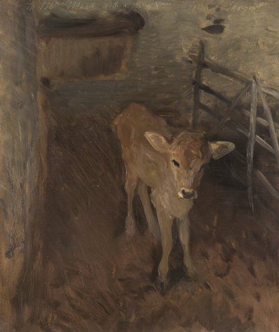 Cielę z Jersey, 1893 autorstwa John Singer Sargent