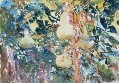Tykwa, ok. 1905 (wc na papierze) autorstwa John Singer Sargent
