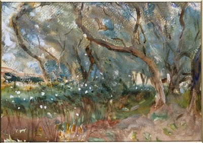 Krajobraz, Korfu, 1909 autorstwa John Singer Sargent