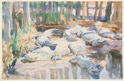 Muddy Alligators, 1917 (wc nad grafitem na papierze) autorstwa John Singer Sargent