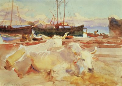 Woły na plaży w Baia, ok. 1908 (wc na papierze) autorstwa John Singer Sargent
