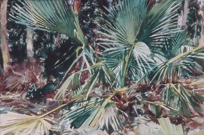 Palmettos, 1917 (wc, grafit i kredka woskowa na białym papierze tkanym) autorstwa John Singer Sargent