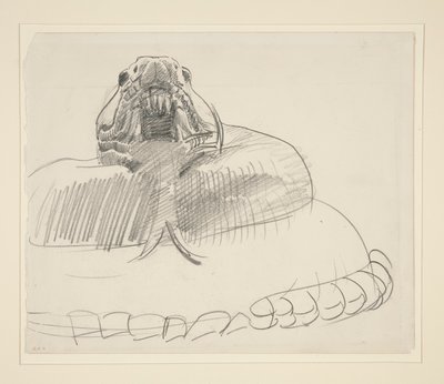 Grzechotnik autorstwa John Singer Sargent