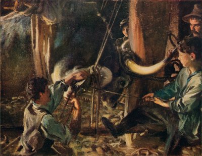 Podkuwanie wołu, c1910 autorstwa John Singer Sargent