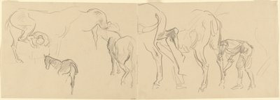 Studia podkuwania koni kalwaryjskich na froncie [recto], 1918. autorstwa John Singer Sargent