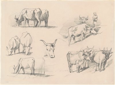 Studia nad bydłem, ok. 1872. autorstwa John Singer Sargent