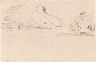 Łabędzie w wodzie, 1880-1900. autorstwa John Singer Sargent
