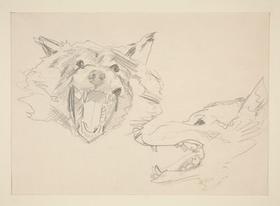 Dwa widoki wilka autorstwa John Singer Sargent