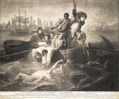 Młodzieniec uratowany przed rekinem autorstwa John Singleton (after) Copley