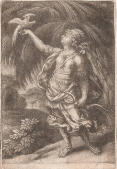 Sokolnik autorstwa John Smith