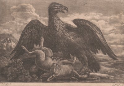 orzeł i zając autorstwa John Smith