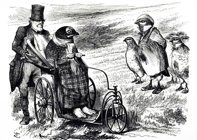 Karykatura komentująca zawieszenie strzelania z Grouse Shooting, aby umożliwić odbudowę kolby. Ilustrowane przez Johna Tenniela (1820-1914), angielskiego ilustratora, grafika humorystycznego i rysownika politycznego autorstwa John Tenniel
