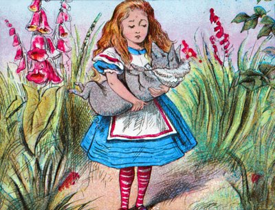 Alicja trzymająca w ramionach świnię., c1910. autorstwa John Tenniel