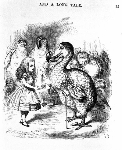 Alicja w Krainie Czarów: spotkanie Alicji z dodo Lewisa Carrolla, ilustracja do pierwszego wydania autorstwa Tenniela autorstwa John Tenniel