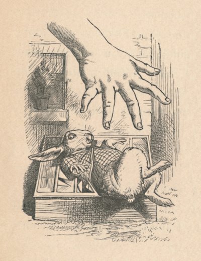 Alicja kładzie rękę na Białym Króliku, 1889 autorstwa John Tenniel
