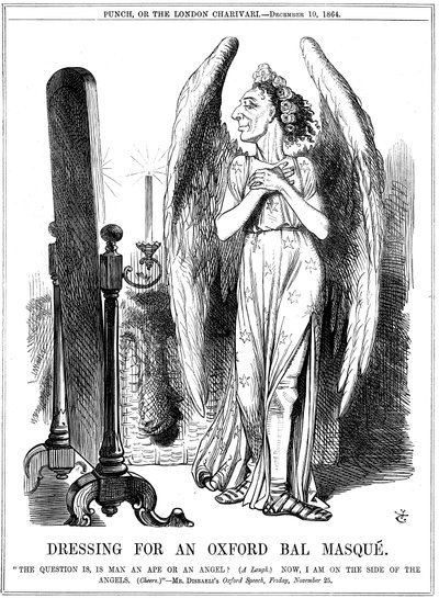 Benjamin Disraeli, brytyjski konserwatysta, rysunek z Puncha, 1864 autorstwa John Tenniel