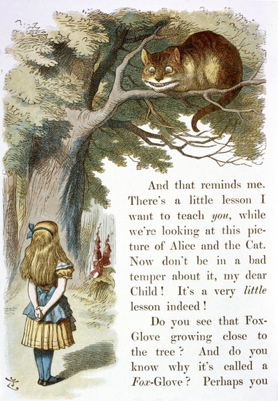 Kot z Cheshire autorstwa John Tenniel