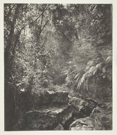 Górska przełęcz w Formozie autorstwa John Thomson