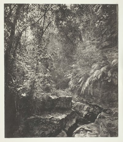 Przełęcz na Formozie, ok. godz. 1868. autorstwa John Thomson