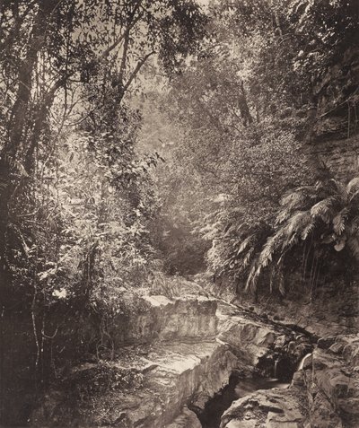 Górska przełęcz na wyspie Formoza autorstwa John Thomson