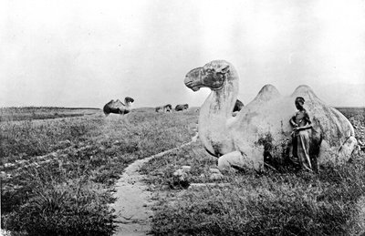 Chiny, rzeźbione wielbłądy Cesarskiej Drogi, ok. 1870 (zdjęcie) autorstwa John Thomson