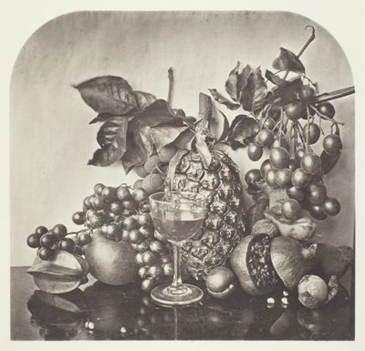 Owoce, ok. 1868. autorstwa John Thomson