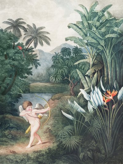 „Kupidyn inspirujący rośliny miłością” z „Świątyni Flory” (1807) autorstwa Roberta Johna Thorntona autorstwa John Thornton