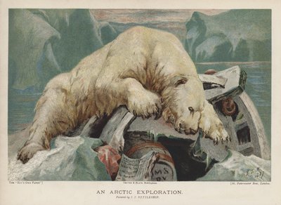 Eksploracja Arktyki: niedźwiedź polarny badający przedmioty z wyprawy arktycznej (chromolitho) autorstwa John Trivett Nettleship