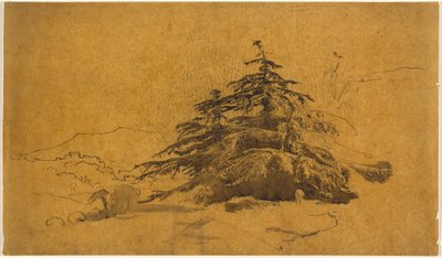 Studie von Bäumen in einer Landschaft autorstwa John Varley