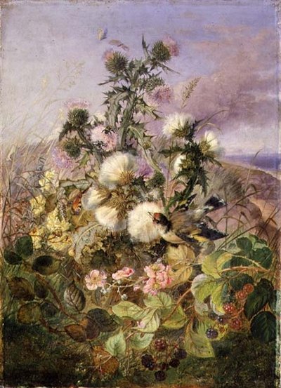 Szczygieł i motyl wśród ostów i kwiatu jeżyny autorstwa John Wainwright