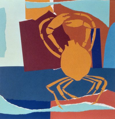 Pająk Krab autorstwa John Wallington